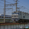 市川橋梁①