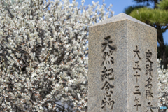 曽根天満宮