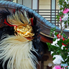 毛獅子舞⑥