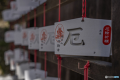 ほていまつり①