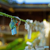 鹿嶋神社③