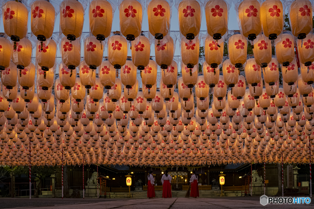 新年万灯祭　試験点灯②