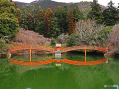 安志加茂神社③