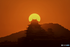 姫路城と夕日