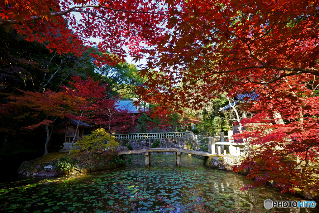 八徳山八葉寺③