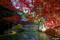 八徳山八葉寺③