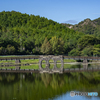 眼鏡橋