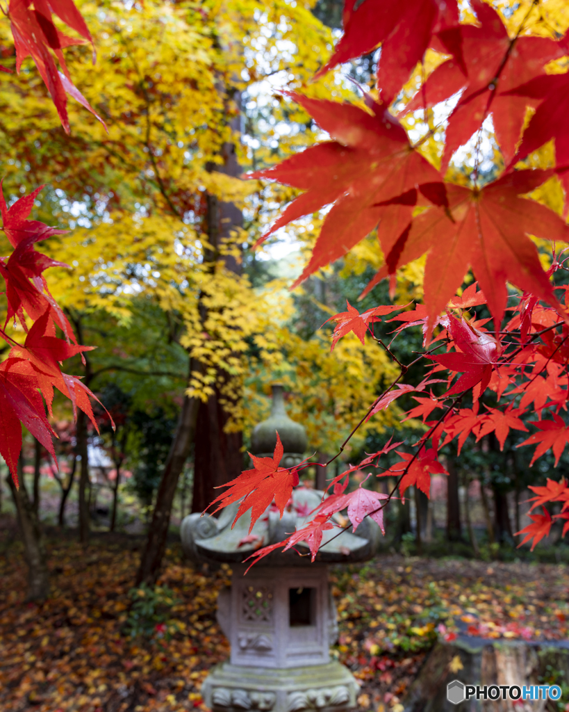 西林寺⑥