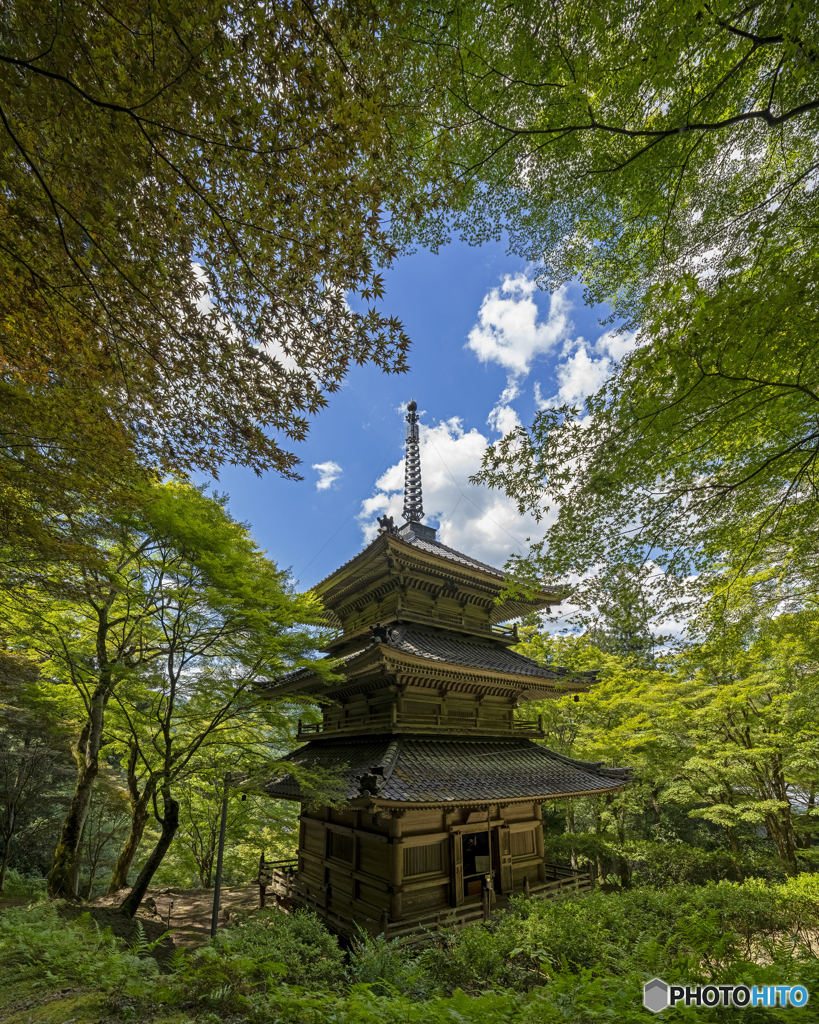 夏の高源寺②