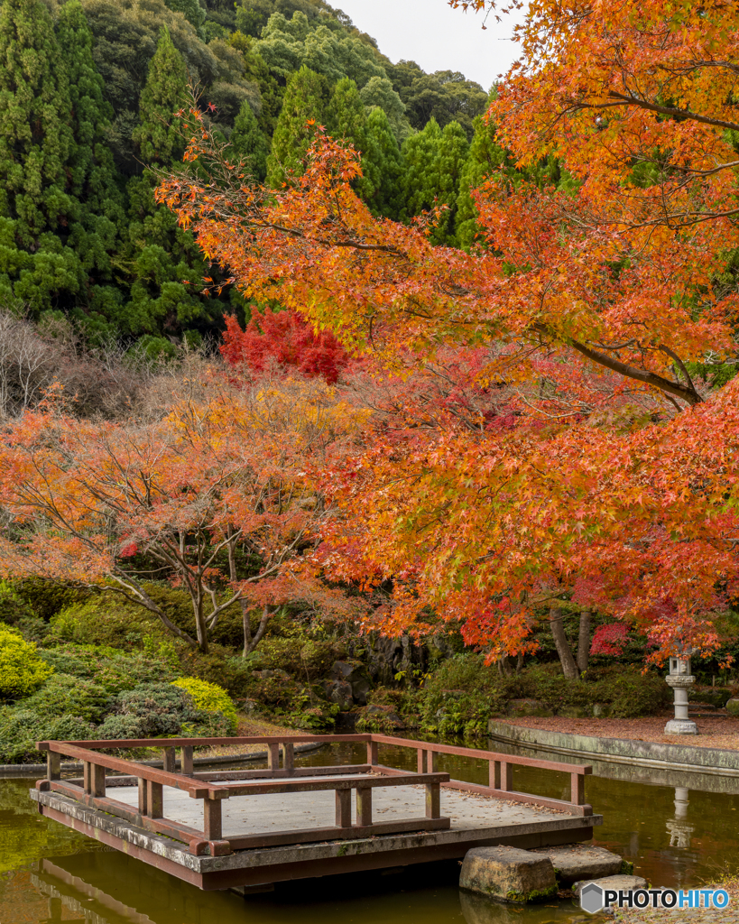 久安寺④