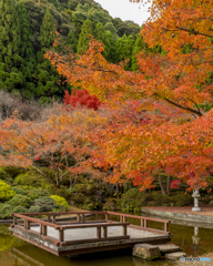 久安寺④