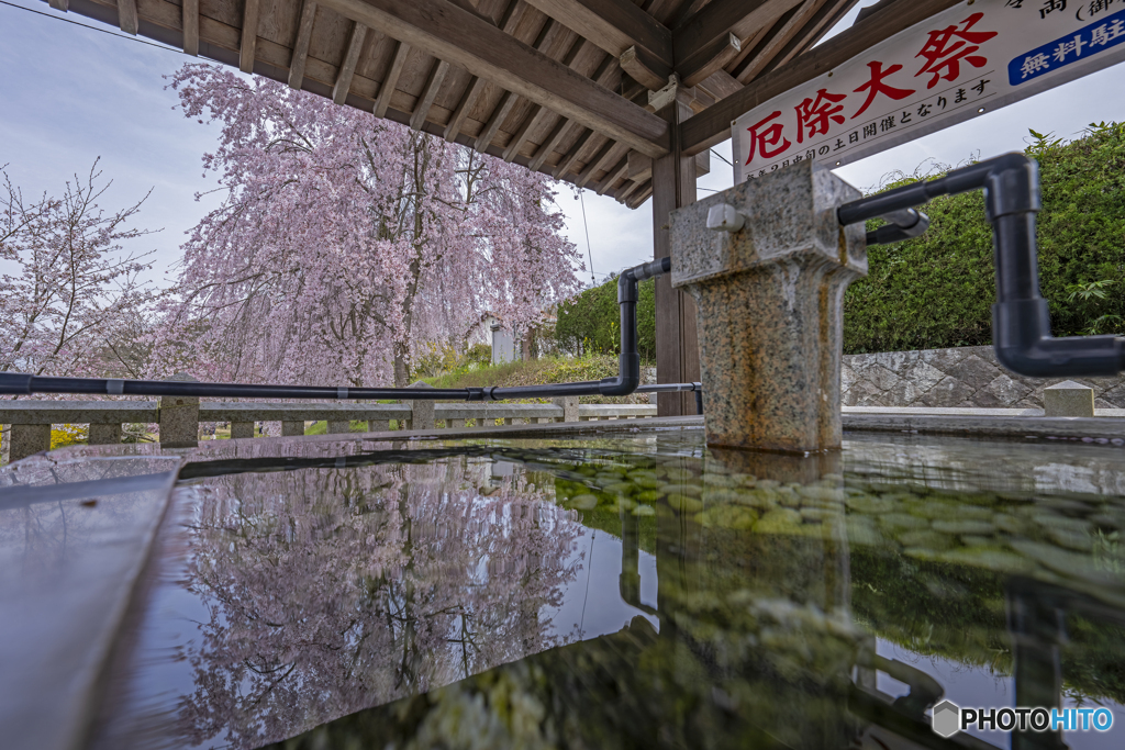 厄除八幡宮①