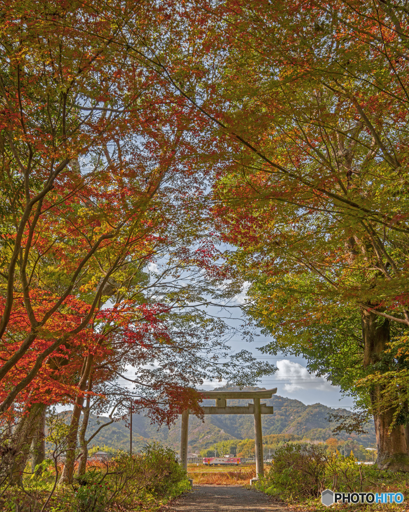 北条鉄道と紅葉