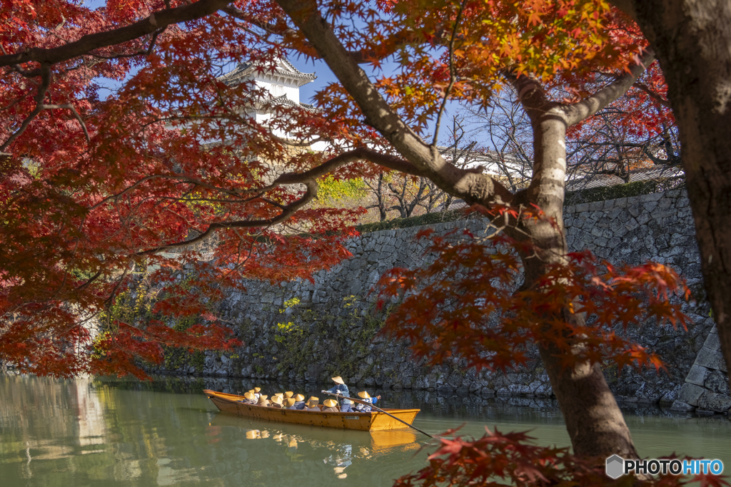 姫路城と紅葉①