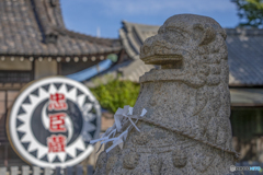 赤穂大石神社③