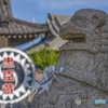 赤穂大石神社③