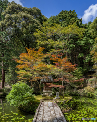 八徳山八葉寺①