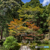 八徳山八葉寺①