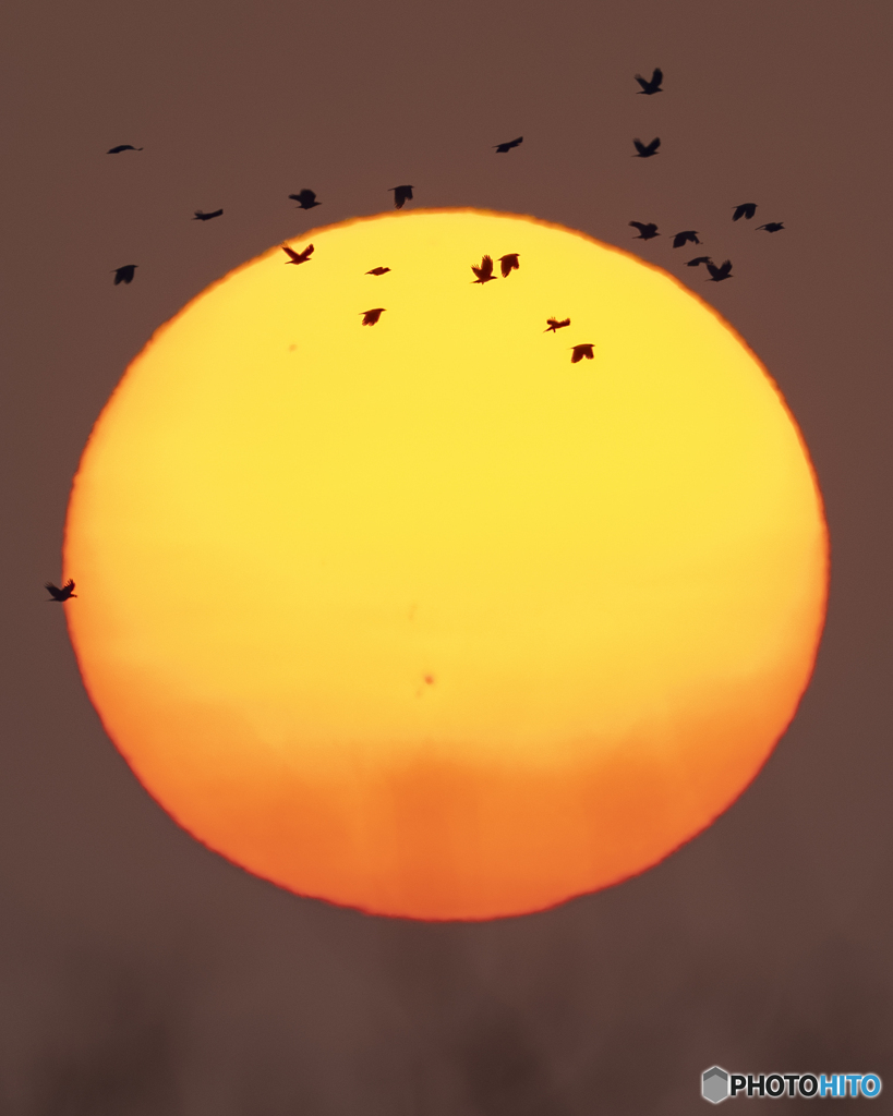 夕日