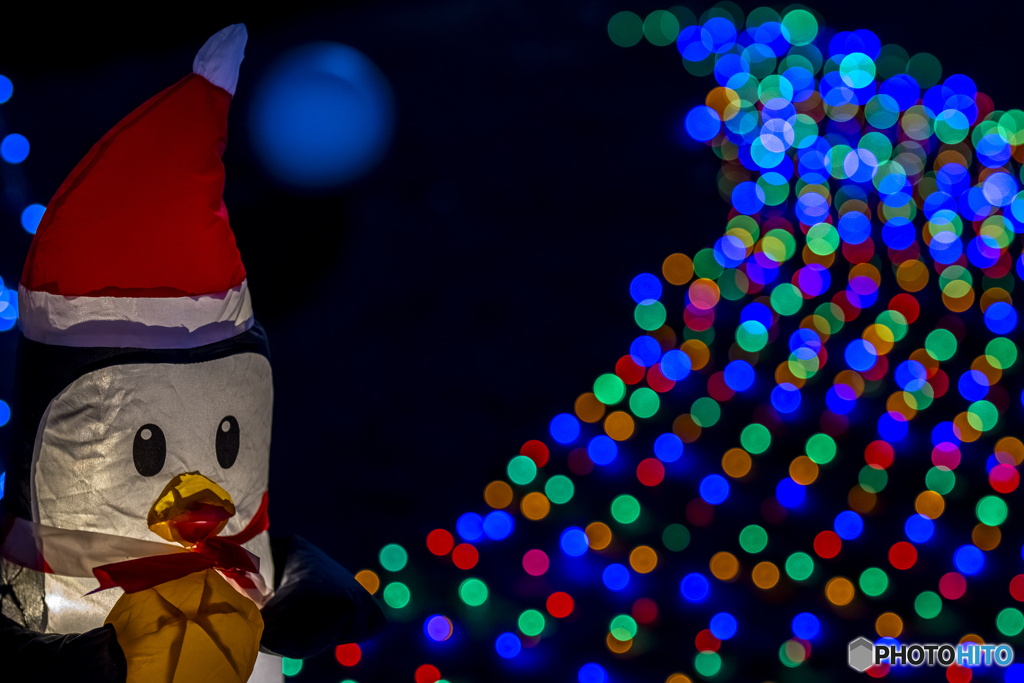 クリスマスイルミネーション③