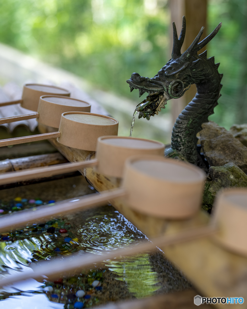 安志加茂神社③