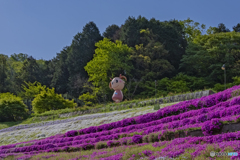 芝桜の小道