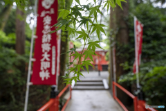 安志稲荷③