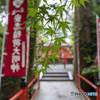 安志稲荷③