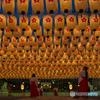 姫路護国神社⑤