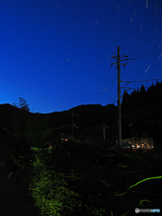 ホタルと星空②