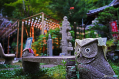 フクロウの寺②