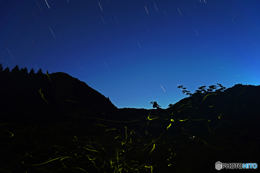 ホタルと星空①