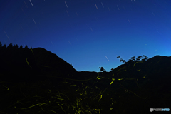 ホタルと星空①