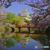 姫路城と桜Ⅱ