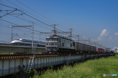 市川橋梁②