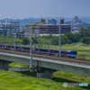 市川橋梁②
