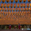 姫路護国神社