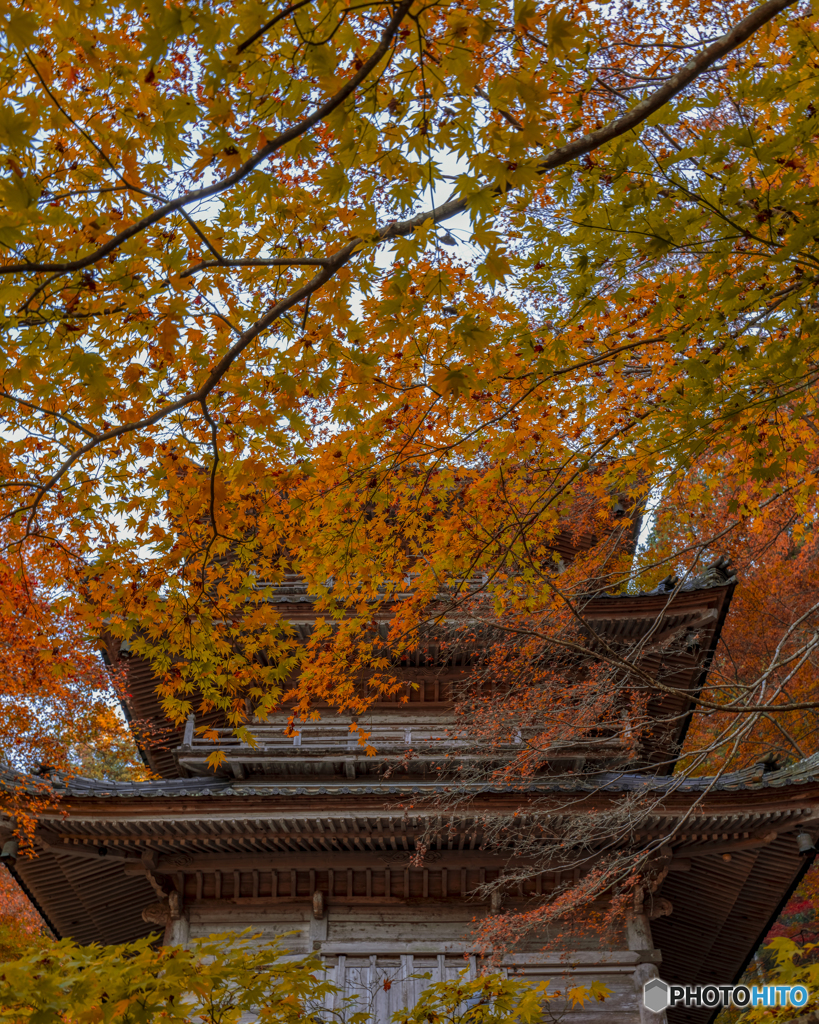 高源寺⑤