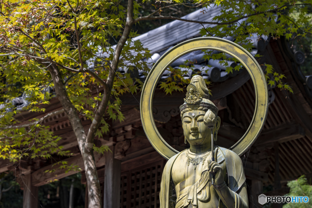 八徳山八葉寺②