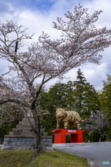 安志稲荷①