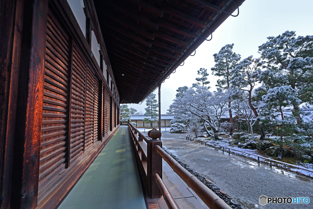うっすら雪化粧⑧