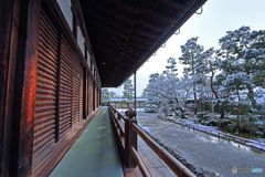 うっすら雪化粧⑧
