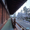 うっすら雪化粧⑧