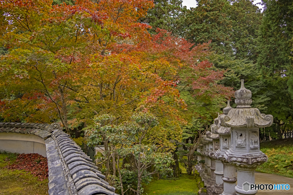 法楽寺②