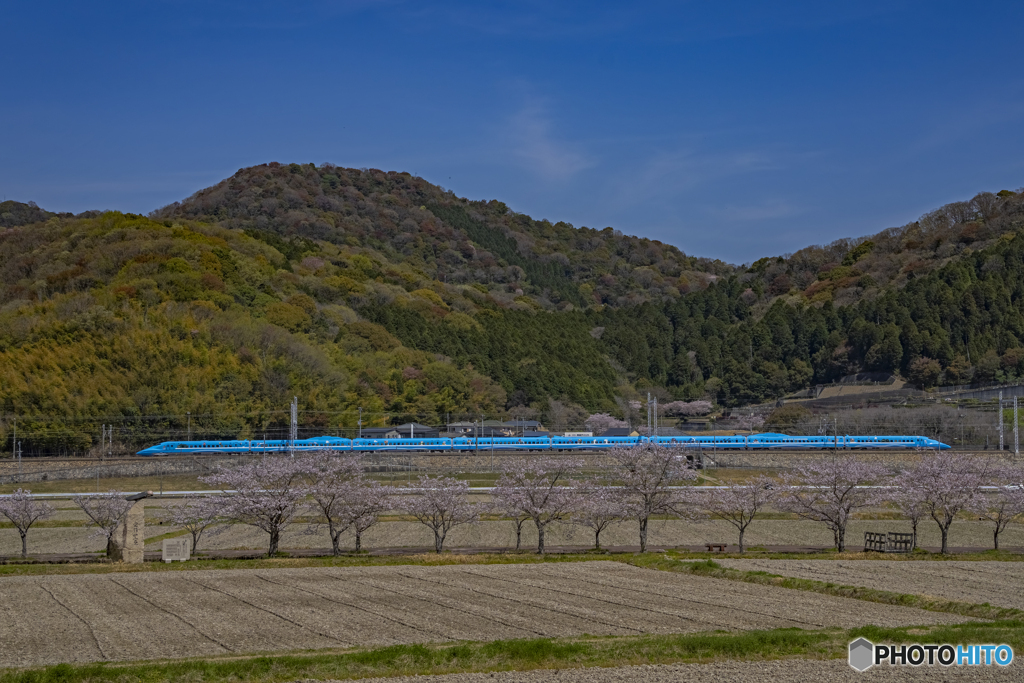 せとうちブルー号①