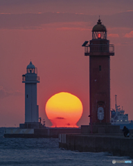 達磨夕日