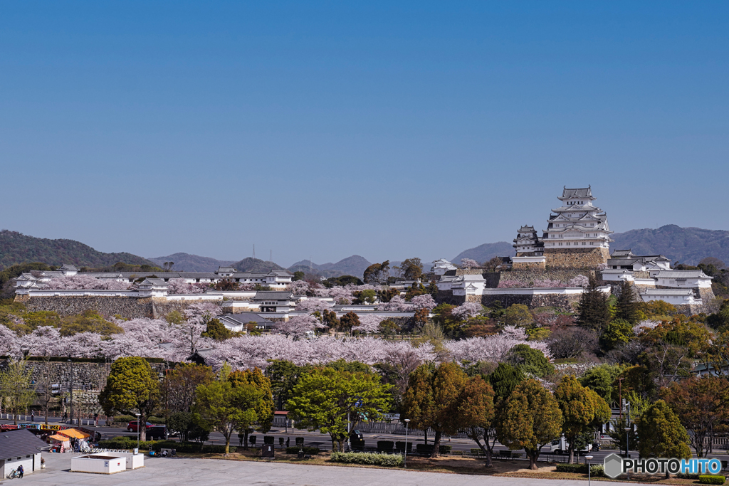 姫路城⑩