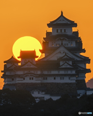 姫路城と朝日
