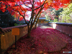 書寫山圓教寺③