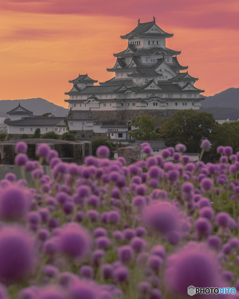 姫路城④